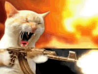 A cat shooting a kalashnikov
