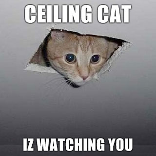 Ceiling Cat